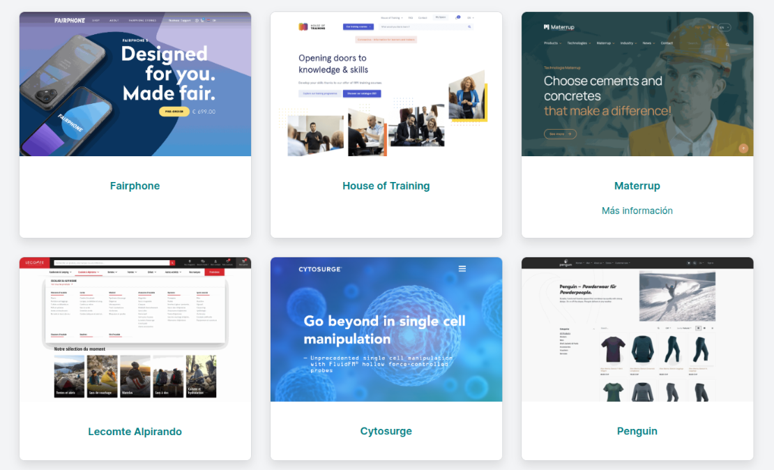 Galeria de Webs en odoo Ejemplos weon Odoo
