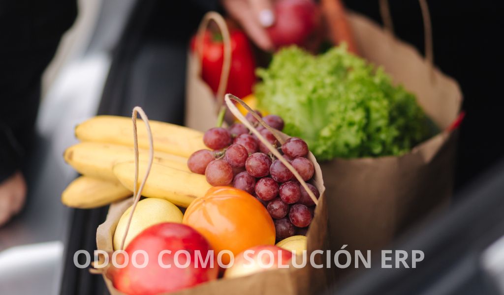 odoo como solucion erp